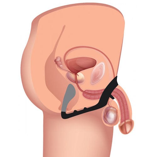 Prostatic Play Analvibratoren Default Prostatic Play Analvibrator Excursion Analplug mit Penis- und Hodenring diskret bestellen bei marielove